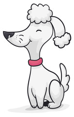 Happy, Smiling and Obedient Poodle, Vector Illustration