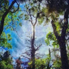 Fototapeta premium Hand drawing watercolor art on canvas. Artistic big print. Original modern painting. Acrylic dry brush background. Beautiful summer landscape. Travel view. Green forest tree. Wild nature