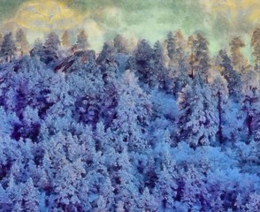 Hand drawing watercolor art on canvas. Artistic big print. Original modern painting. Acrylic dry brush background. Beautiful winter landscape. Travel view. Snow forest tree. 