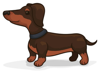 Adorable Dachshund with Collar Waiting for its Owner, Vector Illustration