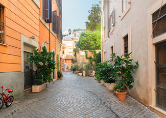 Fototapeta na wymiar typical narrow italian street in Trastevere with green plants and stone pavement, Rome, Italy
