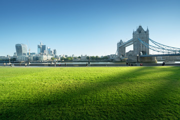 grass and tower bridge in sunny morning London, UK