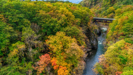 岩内仙境の空撮