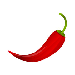 Red chilli pepper icon. Cartoon of red chilli pepper vector icon for web design isolated on white background