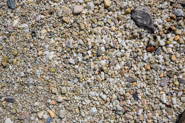 Sea pebbles. Small stones gravel texture background. Pebble stones background. Sea stone, Close up...