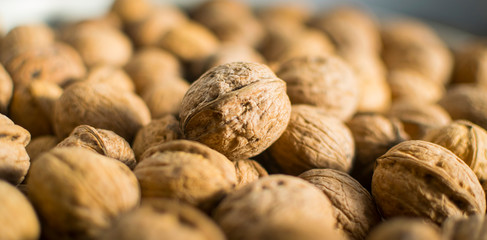 Fresh walnuts in shell. Selective focus