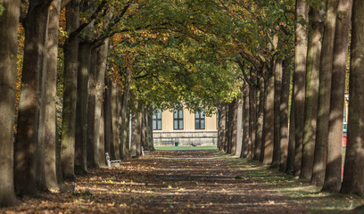 allee aue kassel