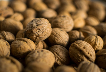 Fresh walnuts in shell. Selective focus
