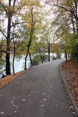 Autumn colors - country side - alley in the park