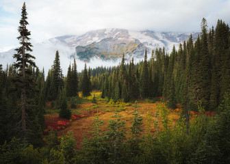 Fall Views at Mount Rainier National Park