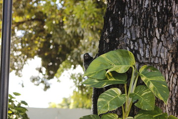 bird on branch
