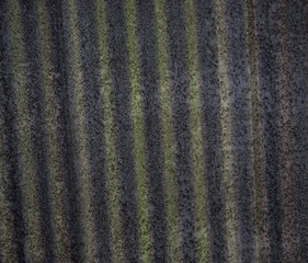 Zinc color close roof