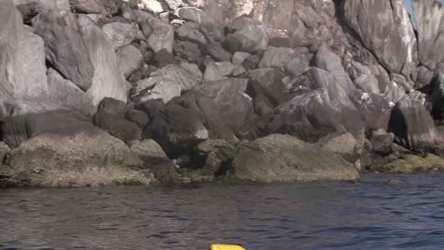 Pelicans in flight over Baja Sea of Cortez