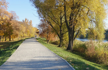 Alley of the park, flooded with sunlight. Walkway in the autumn park. Autumn day