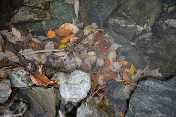 stones in water