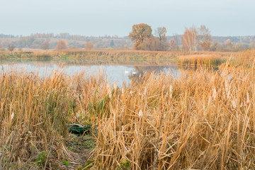 lake in autumn, Ukraine