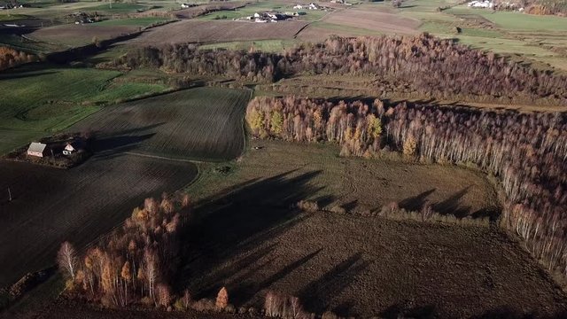 field crop land landscape farm road path countryside autumn colors trees