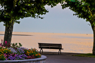 Obraz premium bench in the park