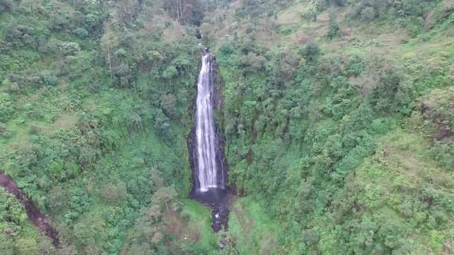 Jungle and high trees in a local village at Kilimanjaro Mountain in Tanzania, aerial shot