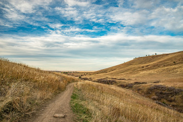 Path in Colorado Park