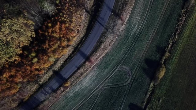 field crop land landscape farm road path countryside autumn colors trees