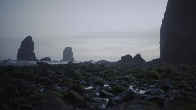 Wide shot of a dark rocks covered with seaweed refocus to sea stack in Ocean, Twilight, Oregon, USA