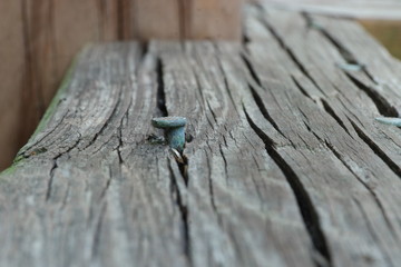 Weathered nail head sticking up from old board