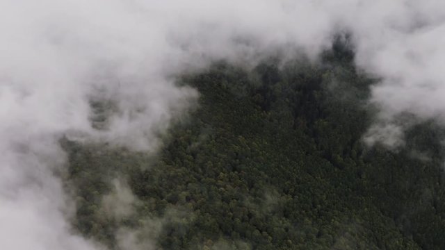 Window in clouds showing green forest underneath, Aerial shot, Slovakia