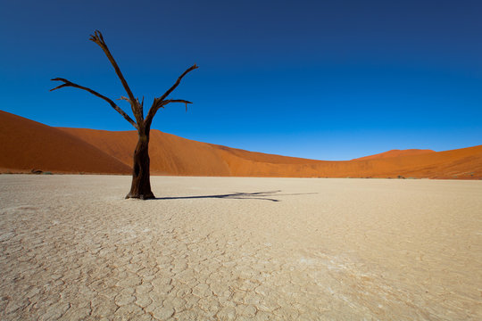 Namibia, Sossusvlei © Sven Taubert