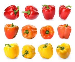 Set of different bell peppers on white background