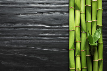 Green bamboo stems and space for text on wooden background, top view