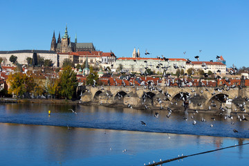 Colorful autumn Prague gothic Castle and Charles Bridge with the Lesser Town in the sunny Day,...
