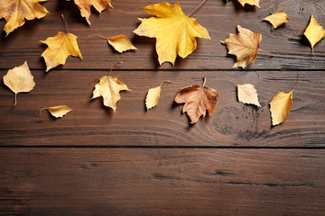 Naklejka na ściany i meble Flat lay composition with autumn leaves and space for text on wooden background