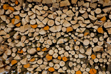 Firewood texture, after the sawing wood