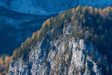 Totes Gebirge mit bunten Bäumen im Spätherbst