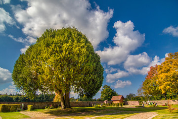 Vor dem Friedhof