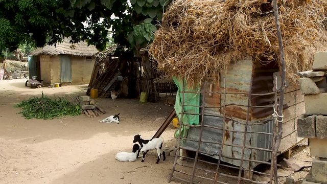house and yard in a small village in Senegal