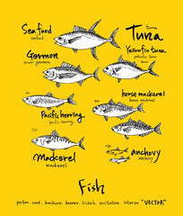 해산물 일러스트 / 손으로 그린 수산물 그림