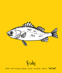 해산물 일러스트 / 손으로 그린 수산물 그림