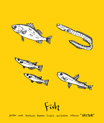 해산물 일러스트 / 손으로 그린 수산물 그림