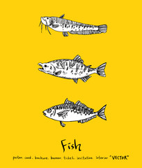 해산물 일러스트 / 손으로 그린 수산물 그림