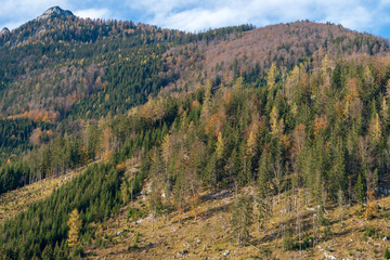 Fototapeta na wymiar Gebirge mit bunten Bäumen im Spätherbst