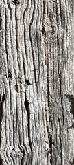A closeup of the texture of an old weathered board.