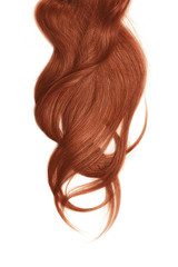 Obraz premium Henna hair, isolated on white background. Long and disheveled ponytail