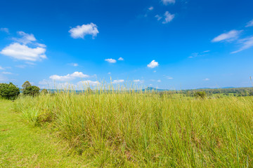 landscape of Savanna Forest and mountain with a blue sky and white clouds in the spring afternoon