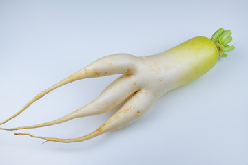 三つ股の変形大根