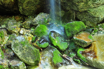 Fototapeta premium Mountain spring cascade