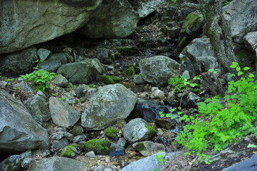 Mountain spring cascade