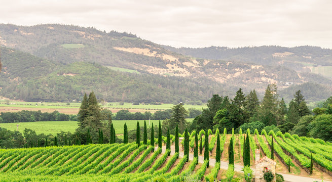 Napa Valley Images – Browse 48 Stock Photos, Vectors, and Video | Adobe