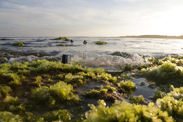 A plastic bottle in the ocean. Plastic pollution concept. 
Single-use plastic is a human addiction that is destroying our planet and impacts our waters, sea life and humans.